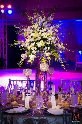 Event Planner «Staged Right Events», reviews and photos, 29 S Federal Hwy a, Dania Beach, FL 33004, USA