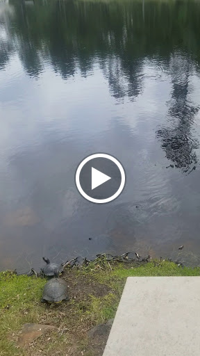 Park «Terramont Park», reviews and photos, 8500 Terramont Dr, The Woodlands, TX 77382, USA