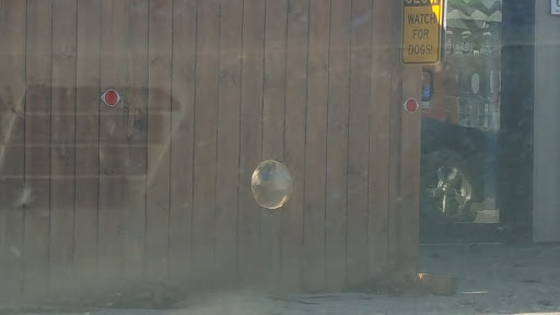 Pet Groomer «Delaware Pet Stuff», reviews and photos, 435 Dunlap St, Delaware, OH 43015, USA