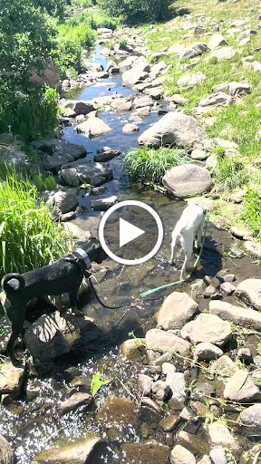 Pet Supply Store «Petz Love», reviews and photos, 9231 Lincoln Ave #200, Lone Tree, CO 80124, USA