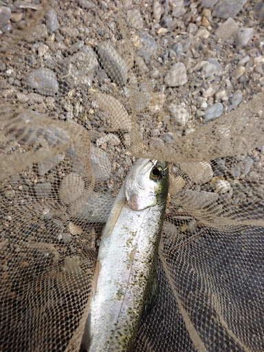 Golf Club «Cedar Hills Golf Club», reviews and photos, 10640 Clubhouse Dr, Pleasant Grove, UT 84062, USA