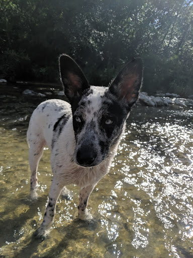 Park «Buffalo Ridge Park», reviews and photos, 5720 Parkwood Trail, Haltom City, TX 76137, USA