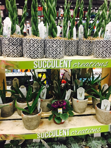 Home Improvement Store «The Home Depot», reviews and photos, 8704 Owenfield Dr, Powell, OH 43065, USA