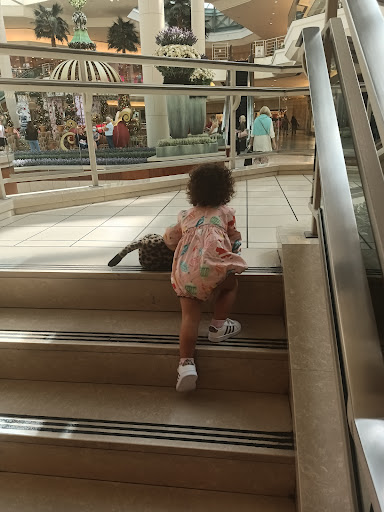 Computer Store «Apple The Gardens Mall», reviews and photos, 3101 PGA Boulevard, Palm Beach Gardens, FL 33410, USA