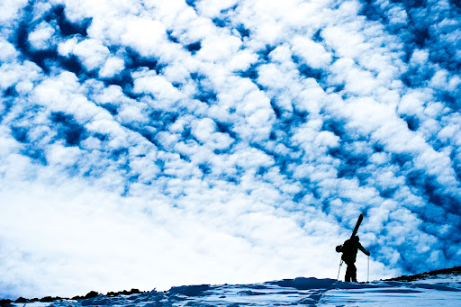 Ski Shop «Country Ski & Sport Inc.», reviews and photos, 335 Providence Hwy, Westwood, MA 02090, USA