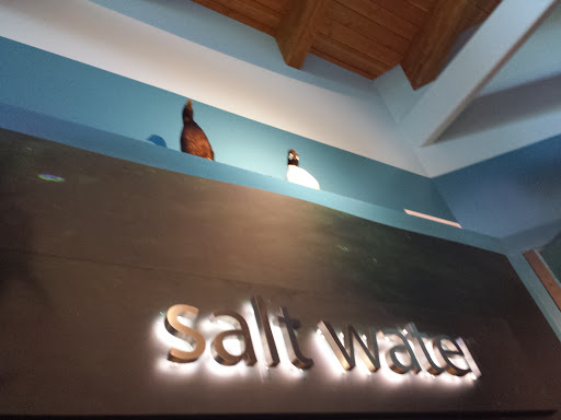 Nature Preserve «Meigs Point Nature Center», reviews and photos, 1288 Boston Post Rd, Madison, CT 06443, USA