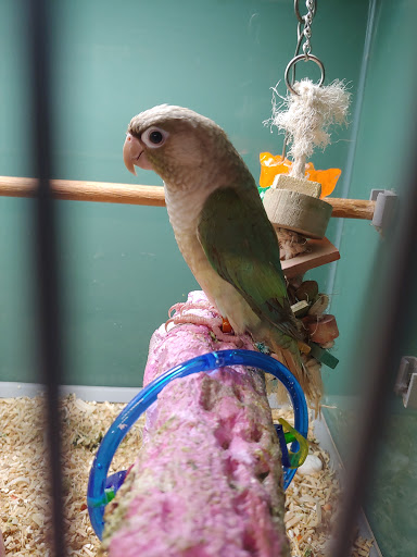 Tropical Fish Store «Delta Pet Center LLC», reviews and photos, 1370 Corporate Square Blvd, Slidell, LA 70458, USA