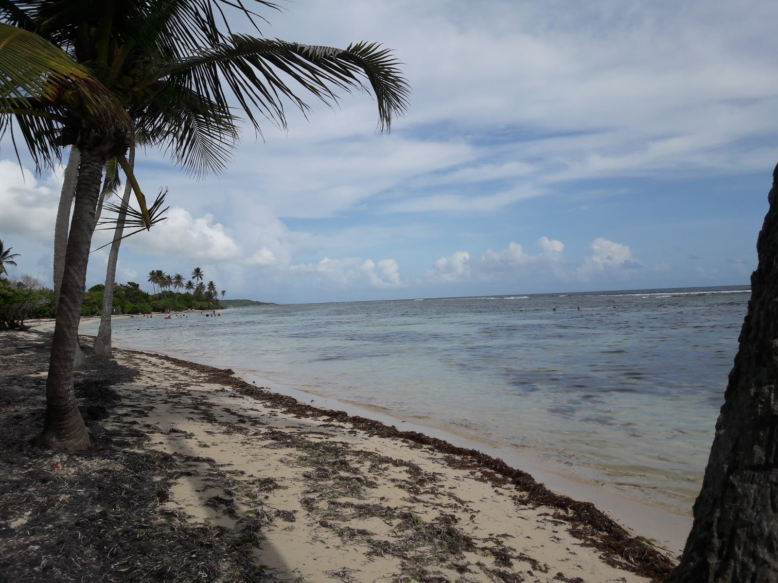 Foto av Anse du Belley Beach med turkos rent vatten yta