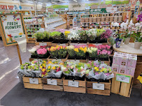 Sprouts Farmers Market - Photo 6 - Car repair in Peoria, AZ, Glendale