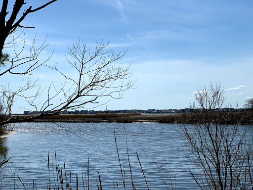 Nature Preserve «Edwin B. Forsythe National Wildlife Refuge- deCamp Wildlife Trail», reviews and photos, 365 Mantoloking Rd, Brick, NJ 08723, USA