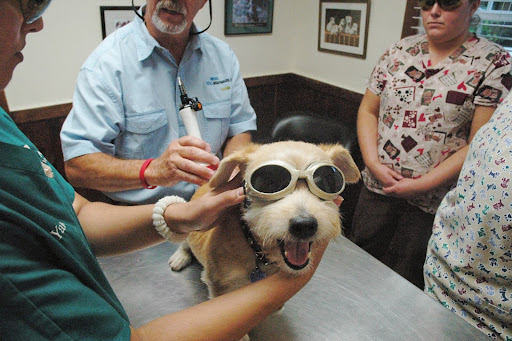 Advanced Veterinary Care image