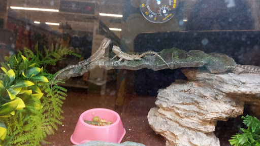 Pet Supply Store «PetSmart», reviews and photos, 270 Marketplace Boulevard, Selinsgrove, PA 17870, USA