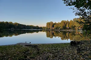 Elsensee image