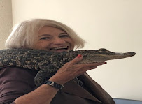 AER Consulting Inc. - Photo 9 - Car repair in , Clearwater