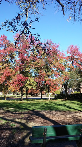 Park «Glancy Oaks Park», reviews and photos, 5292 Glancy Dr, Carmichael, CA 95608, USA