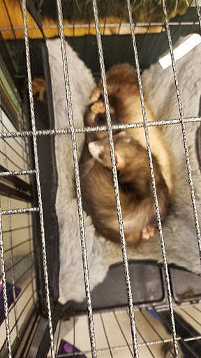 Pet Supply Store «Pet Supplies Plus», reviews and photos, 3200 E Agency St #200, Burlington, IA 52601, USA