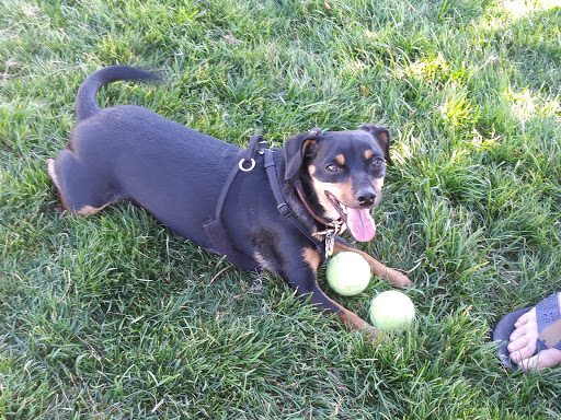 Pet Supply Store «Petco Animal Supplies», reviews and photos, 2210 N Eagle Rd, Meridian, ID 83646, USA