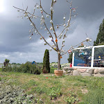 Photo n°2 de l'avis de Angelika.i fait le 31/05/2022 à 19:29 sur le  moccavino à Mönchgut