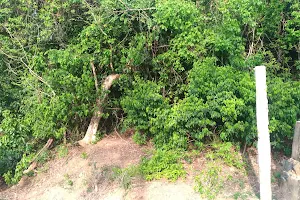 Kurumbaram Reserve Forest image