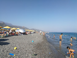 Koutsounari Long beach'in fotoğrafı imkanlar alanı