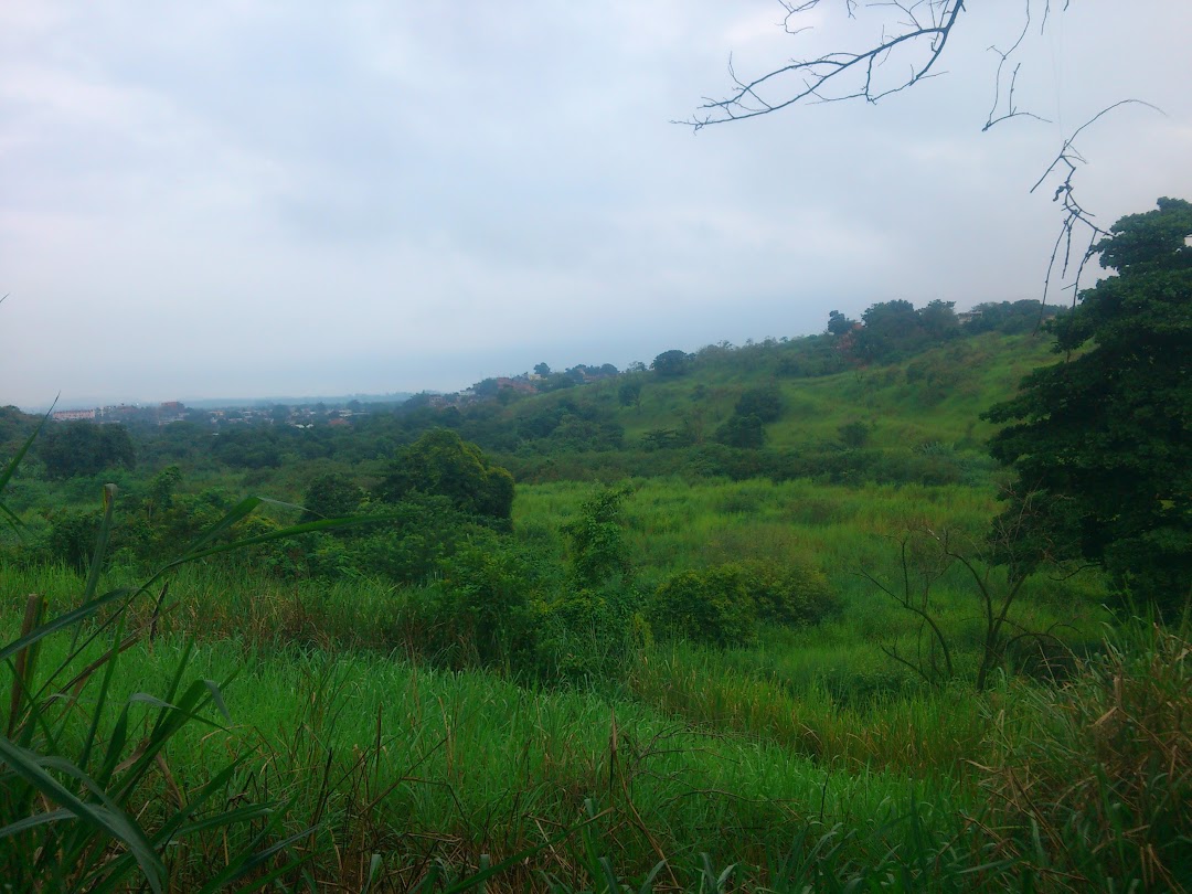 Mata da Granja Guanabara Wona