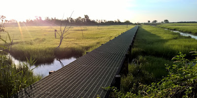 Marine Nature Study Area