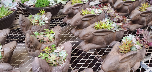 Home Improvement Store «The Home Depot», reviews and photos, 7100 North Fwy, Fort Worth, TX 76137, USA