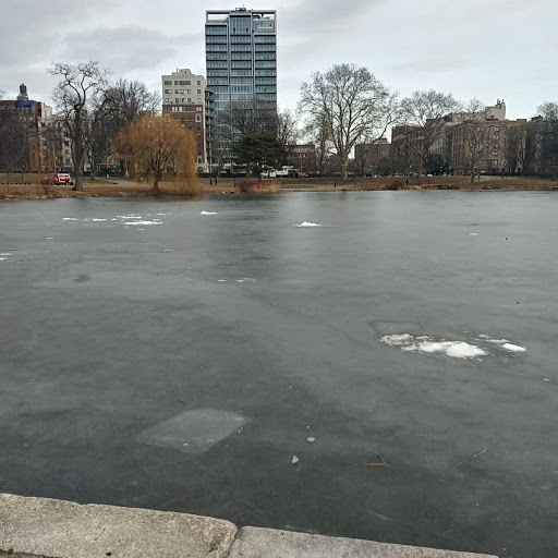 Fort Fish Site, 14 E 60th St, New York, NY 10022