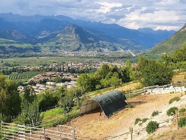 Rezensionen über Ranch des Maragnènes in Sitten - Bioladen