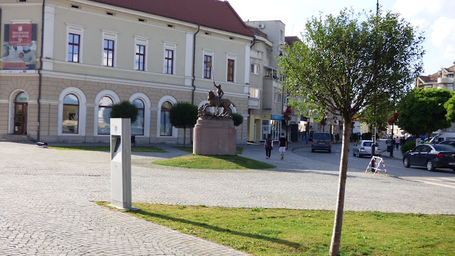 telefon Primăria Municipiului Sfântu Gheorghe