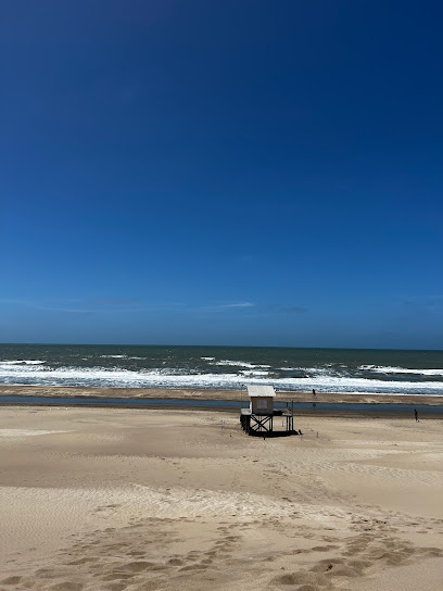 Escuela De Surf Mar De Las Pampas