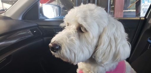 Auto Repair Shop «Hillbrook Automotive», reviews and photos, 6701 Little River Turnpike, Annandale, VA 22003, USA