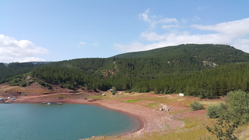 almus orman evleri almus tokat