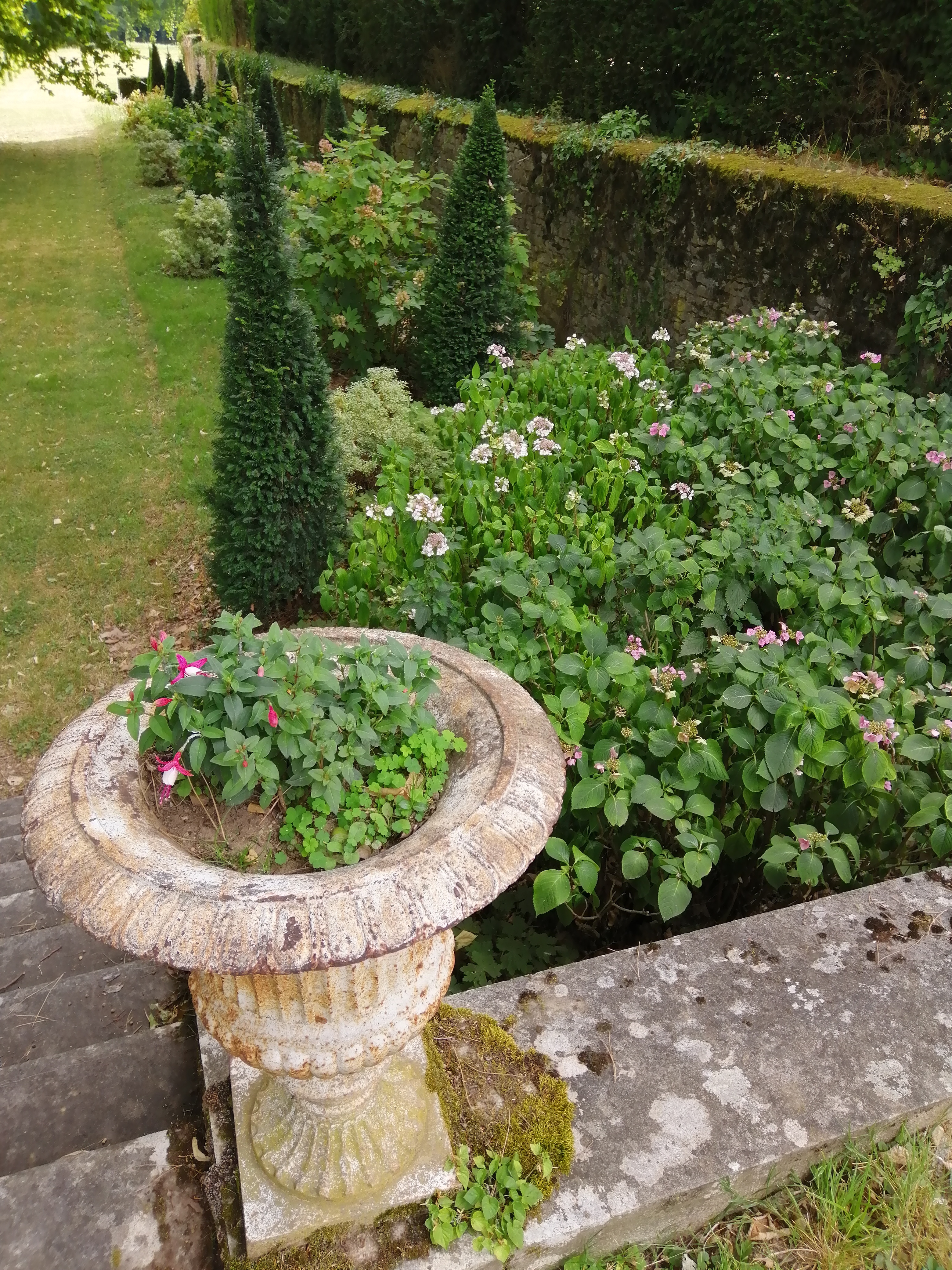 Photo n° 6 de l'avis de cyril.a fait le 26/07/2020 à 16:07