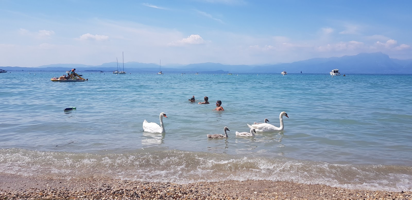 Spiaggia della Guglia的照片 带有碧绿色纯水表面