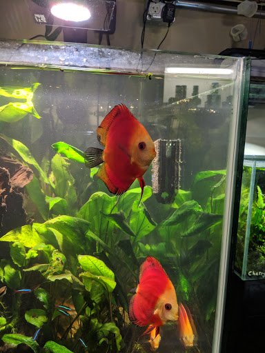 Pet Supply Store «New Wave Aquaria», reviews and photos, 14100 23rd Ave N, Minneapolis, MN 55447, USA
