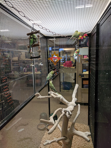 Shopping Mall «Cottman-Bustleton Center», reviews and photos, 2139 Cottman Ave, Philadelphia, PA 19149, USA