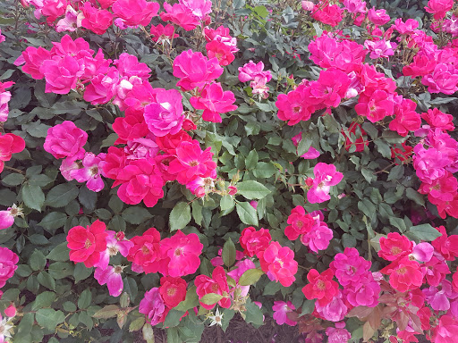 Tourist Attraction «World of Coca-Cola», reviews and photos, 121 Baker St NW, Atlanta, GA 30313, USA