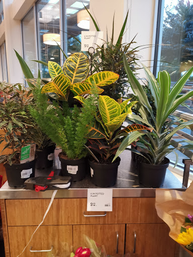 Natural Foods Store «PCC Natural Markets - Columbia City», reviews and photos, 3610 S Edmunds St, Seattle, WA 98118, USA