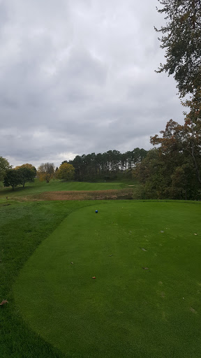 Golf Course «White Bear Yacht Club», reviews and photos, 56 Dellwood Ave, Dellwood, MN 55110, USA