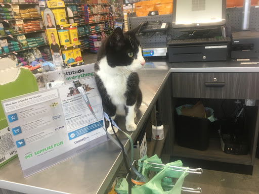 Pet Supply Store «Pet Supplies Plus», reviews and photos, 319 Massachusetts Ave, Lunenburg, MA 01462, USA