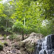 Cascade Falls Trail