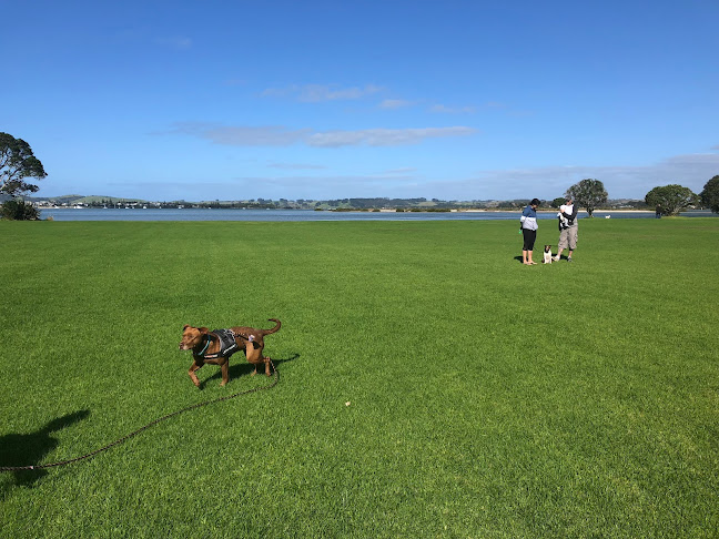 Reviews of DOGlife NZ in Whangarei - Dog trainer