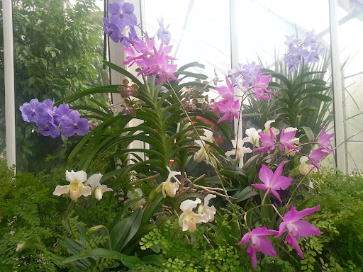 Park «Volunteer Park», reviews and photos, 1247 15th Ave E, Seattle, WA 98112, USA