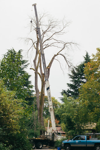 Furniture Store «Urban Hardwoods», reviews and photos, 2101 1st Ave, Seattle, WA 98121, USA