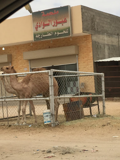 ملحمة عبور الوادي 