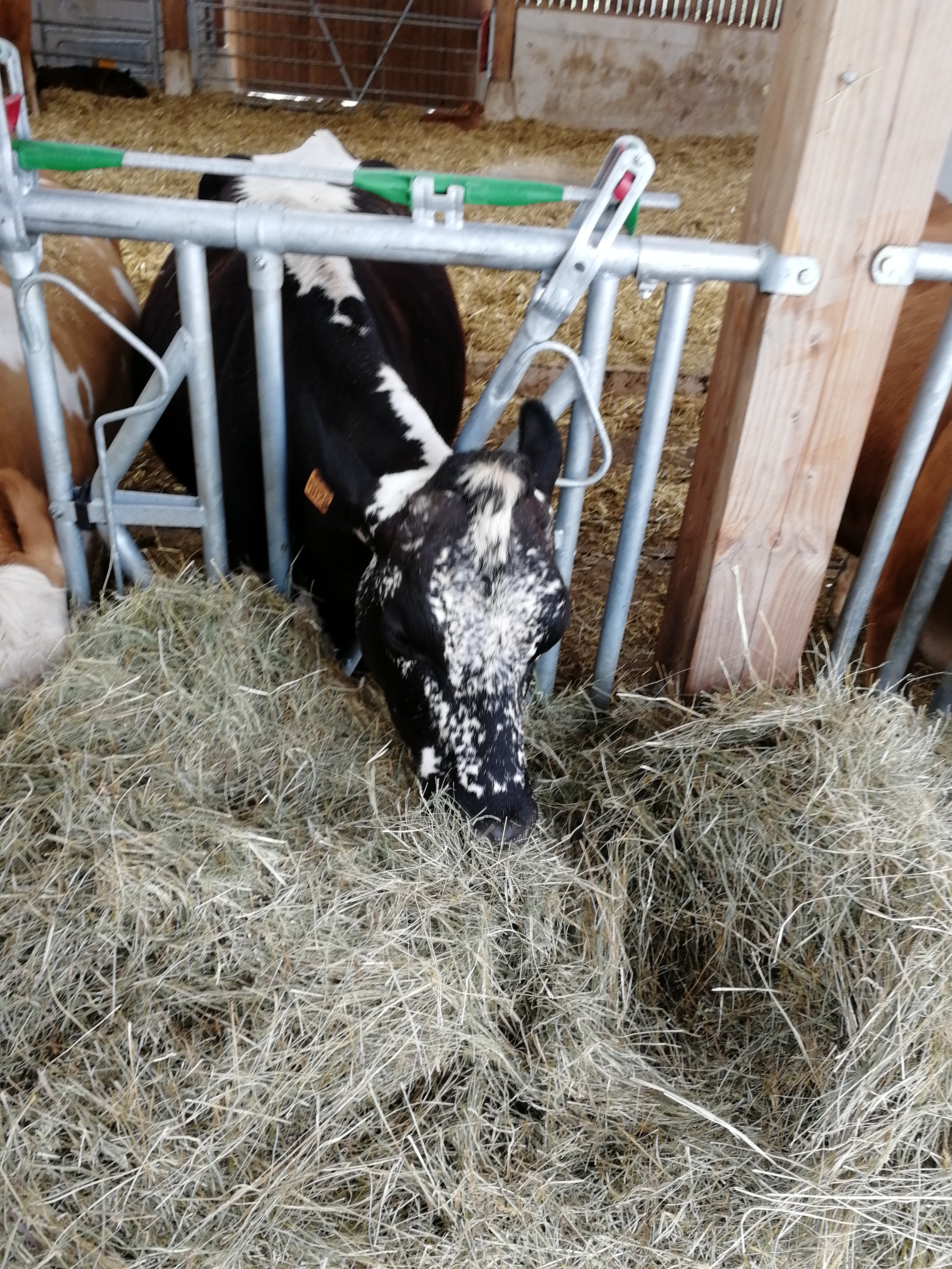 Photo n° 5 de l'avis de JULIE.E fait le 29/06/2018 à 16:29