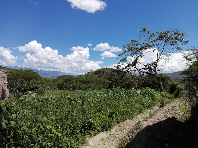 HR88+R42, Cholocal 06335