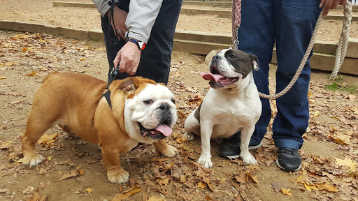 Dog Park «Forest Park Dog Run», reviews and photos, 8445 Park Ln S, Woodhaven, NY 11421, USA