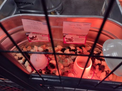 Home Improvement Store «Tractor Supply Co.», reviews and photos, 8447 FL-54, New Port Richey, FL 34655, USA